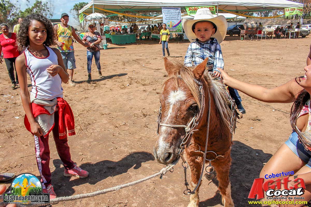 Festa da Pamonha (3 Dia)